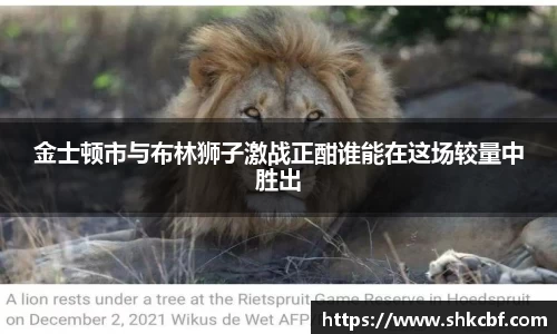 金士顿市与布林狮子激战正酣谁能在这场较量中胜出