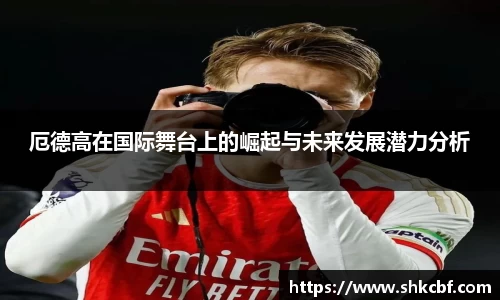mk体育
