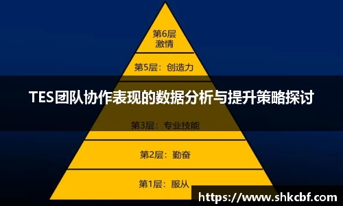 TES团队协作表现的数据分析与提升策略探讨