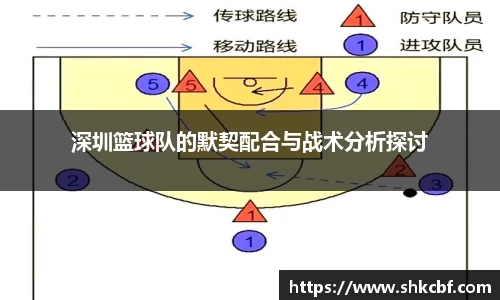 深圳篮球队的默契配合与战术分析探讨