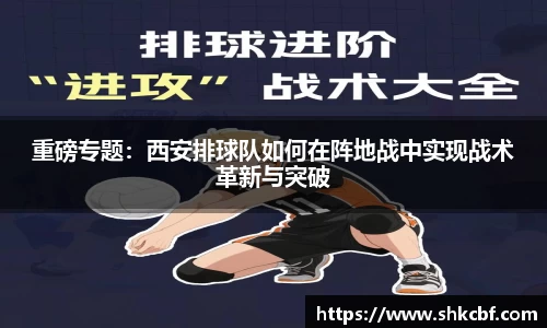 mk体育